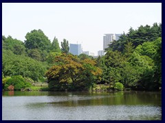 Shinjuku Gyoen 56